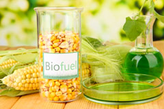 Stuntney biofuel availability